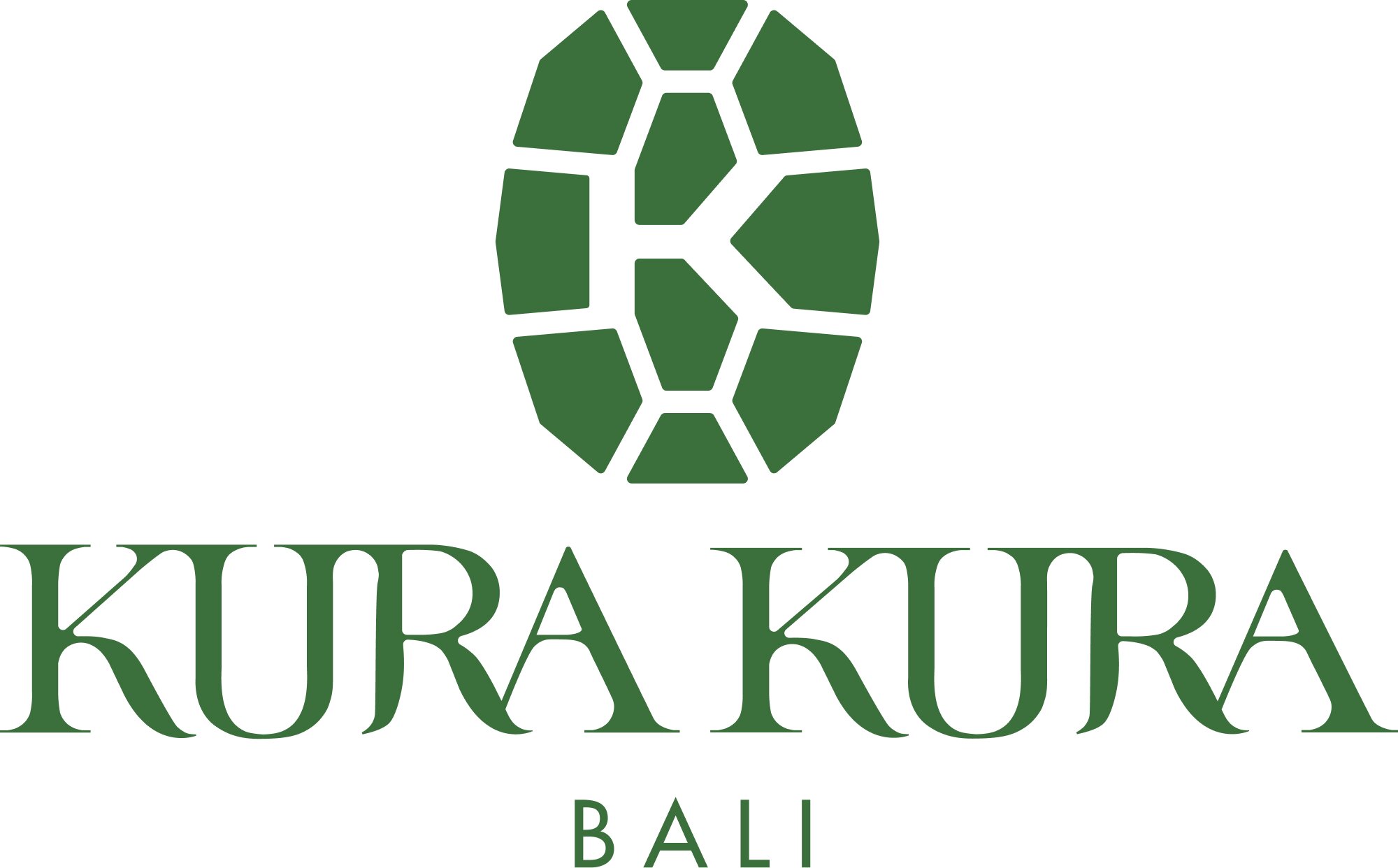 Logo PT. Bali Turtle Island Development